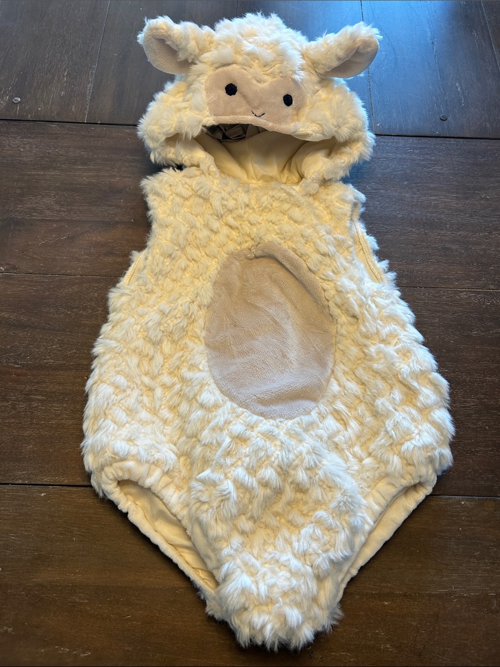 Pottery Barn Kids Baby Lamb Halloween Costume